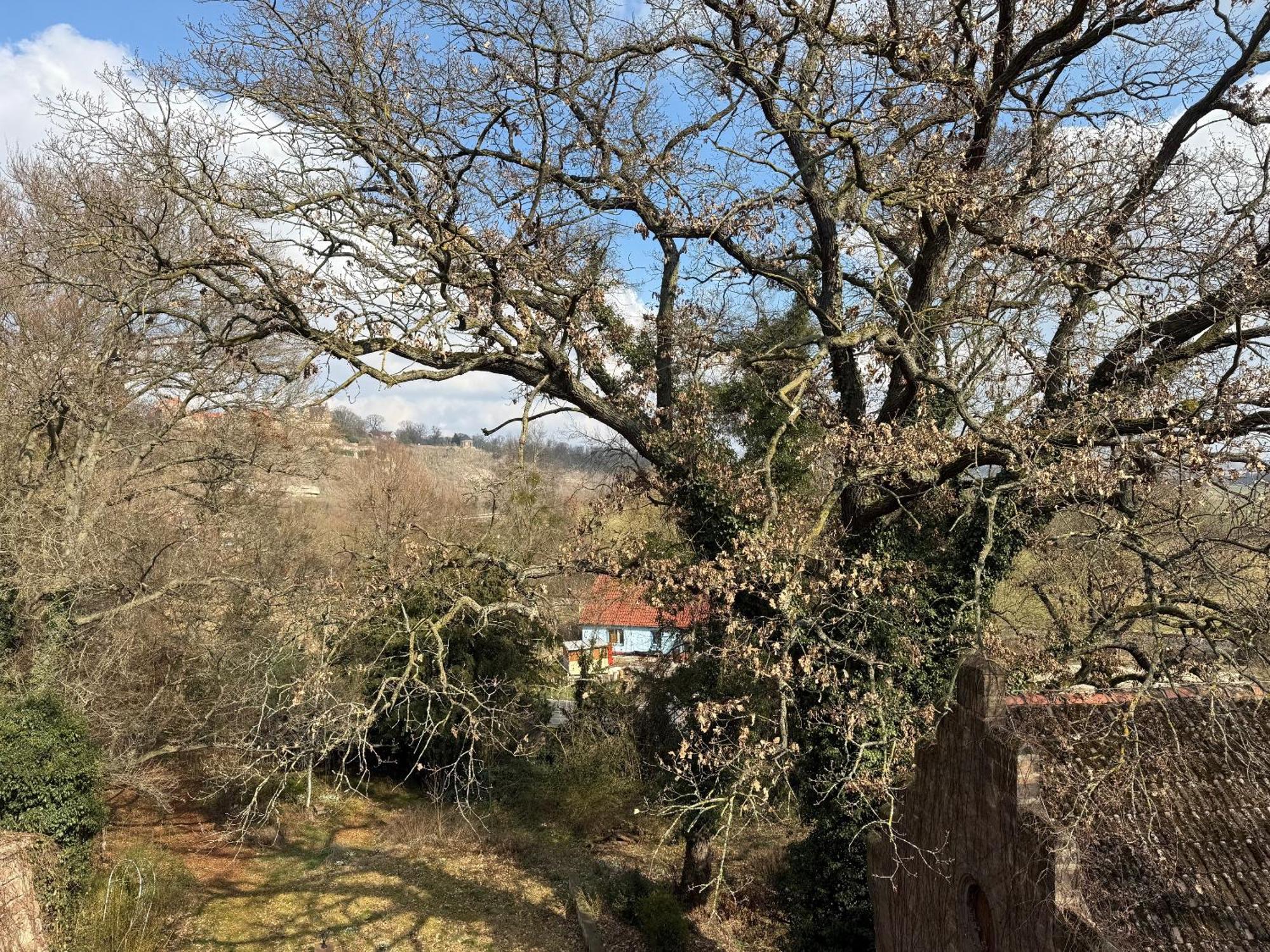 Schloss Zingst Querfurt Eksteriør billede
