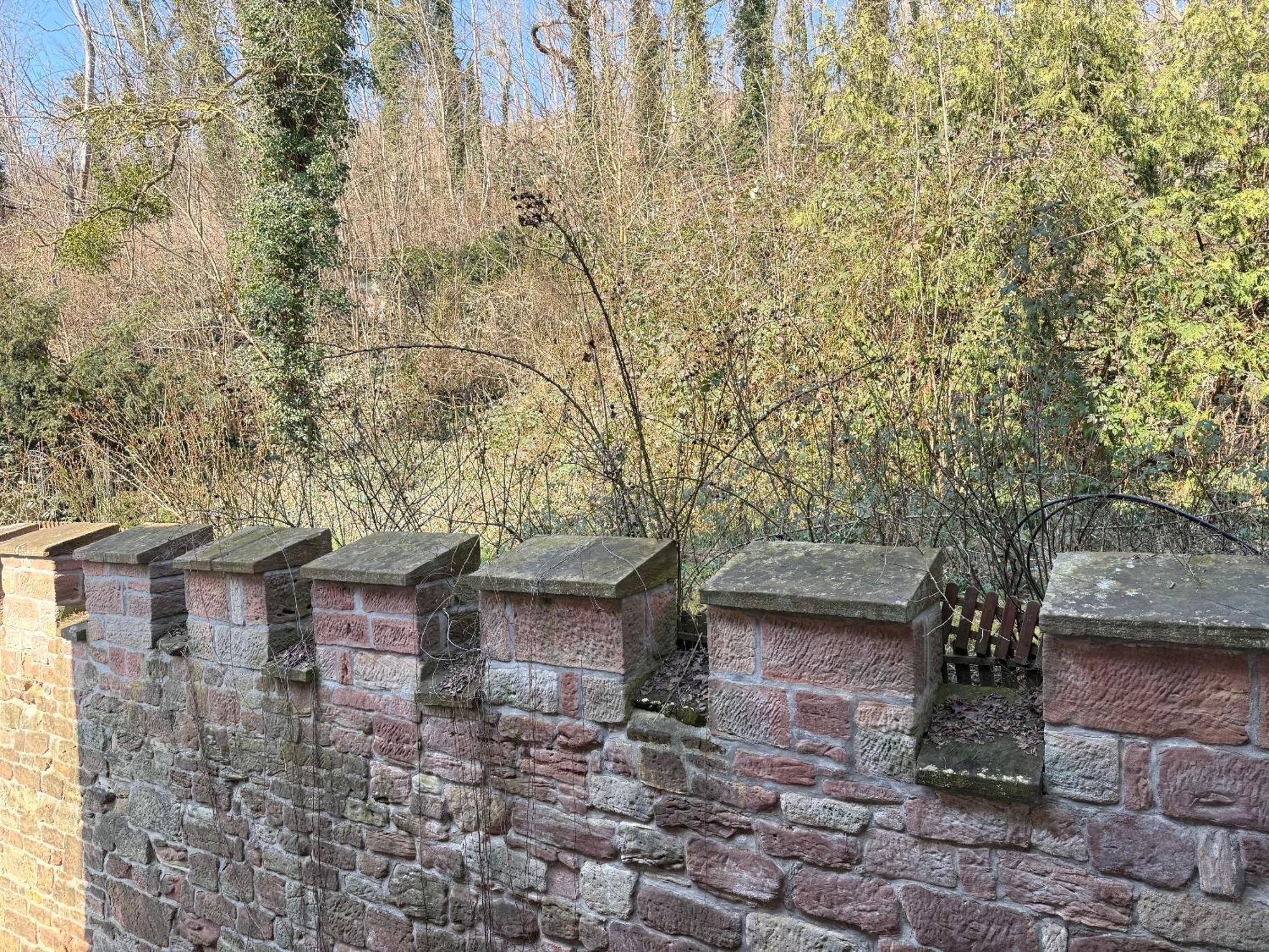 Schloss Zingst Querfurt Eksteriør billede
